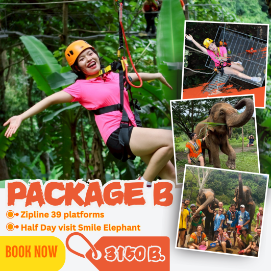 Package B